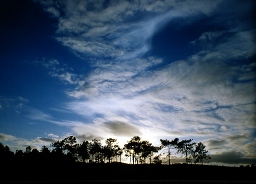 Woodbury Common sunset